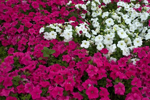 Préparez Votre Déménagement en Toute Sérénité grâce à un Outil de Calcul de Volume