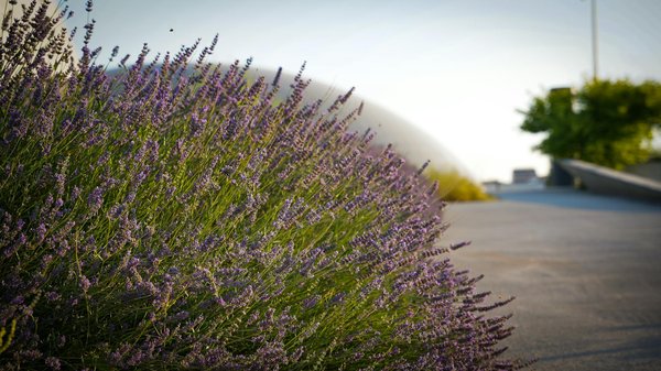 Découvrez les Nouvelles Tendances du Marché Immobilier en 2024 !