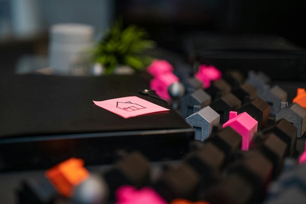 Les plantes d'intérieur : Une touche verte pour un air sain et des astuces déco pour votre maison